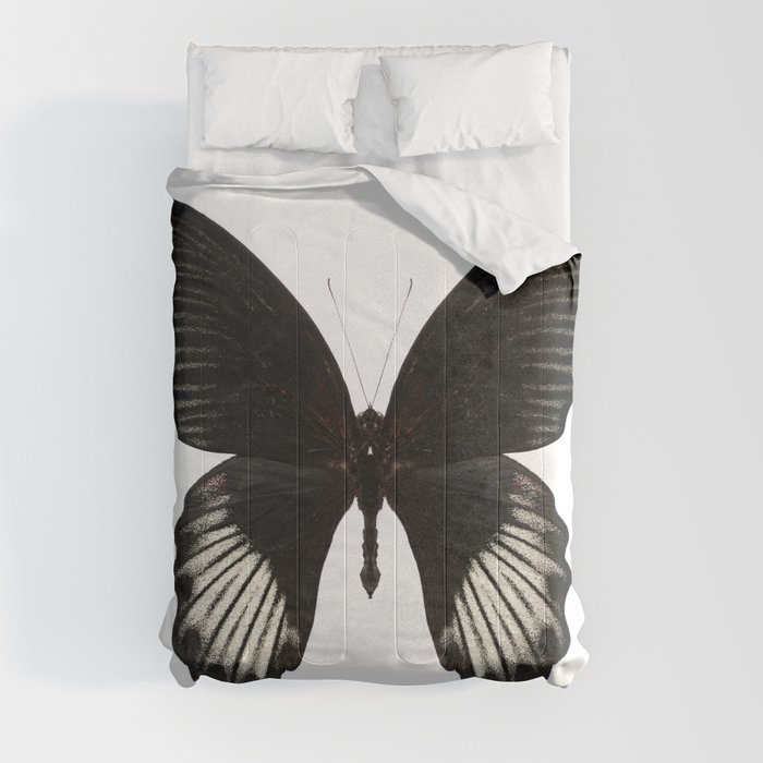 Black and White Butterfly Comforters by Alyson Fennell Photography