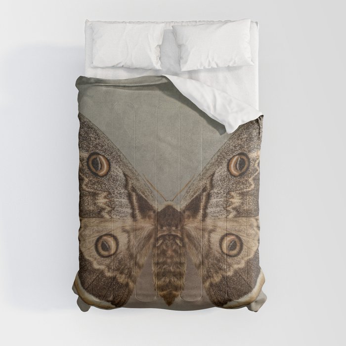 Saturnia pyri Comforters by Jaroslaw Blaminsky