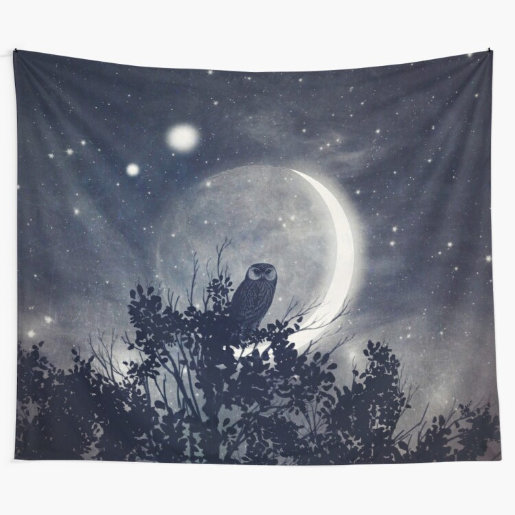 A Night with Venus and Jupiter - Owl and Moon Night Wall Art Tapestry by Paula Belle Flores